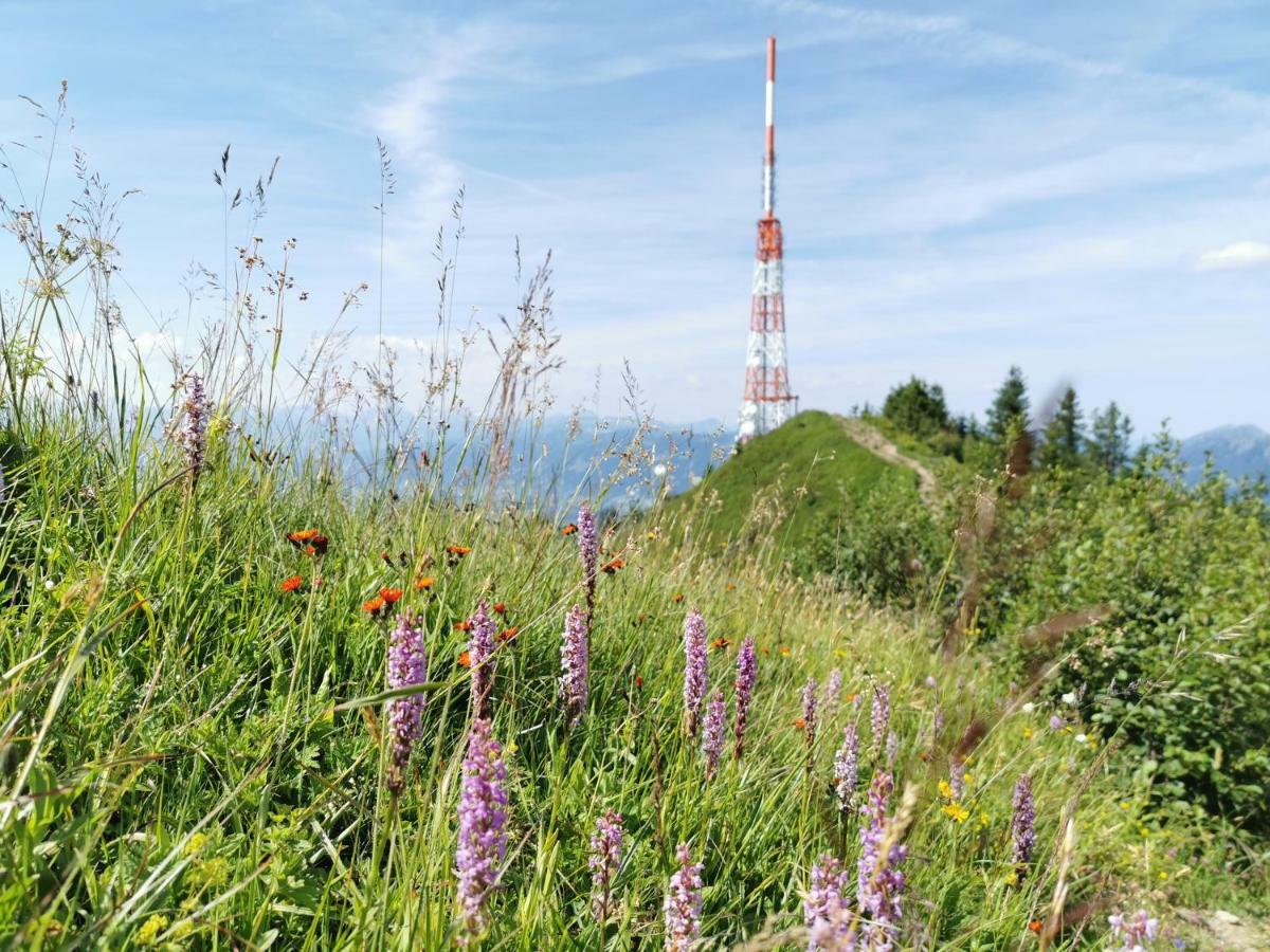 Ferienwohnung Am Eichwald Immenstadt im Allgäu Exterior foto